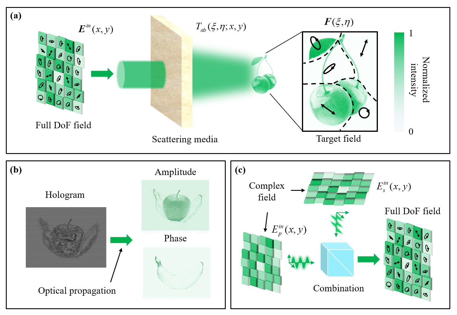 P2 Principle of spatial full degree-of-freedom scattered optical field modulation.png